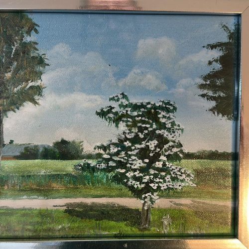 WhatsApp Image 2026-03-08 at 14.31.37 (2)