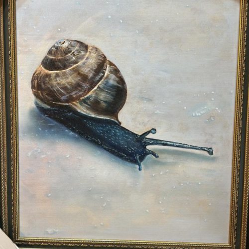 WhatsApp Image 2026-03-08 at 14.31.37 (3)